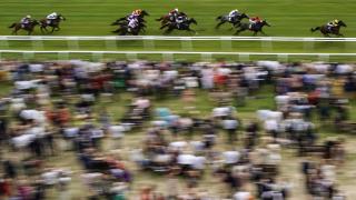 Newbury Star Terms